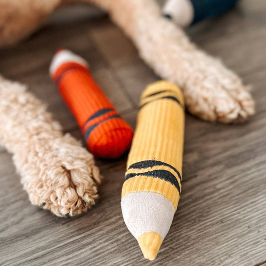 Crayons - 4-piece Snuffle/Enrichment Toy