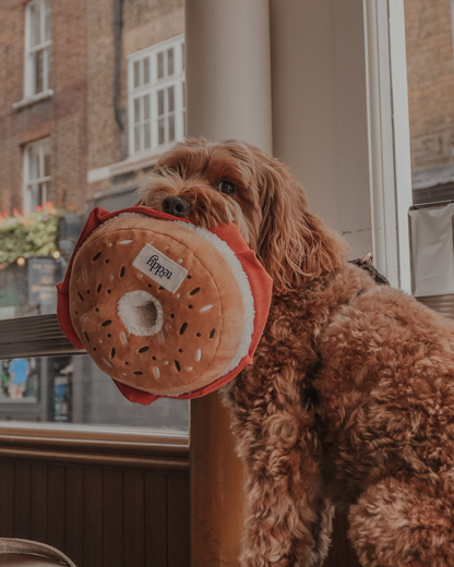 Large Salmon & Cream Cheese Bagel - Snuffle/Enrichment Toy