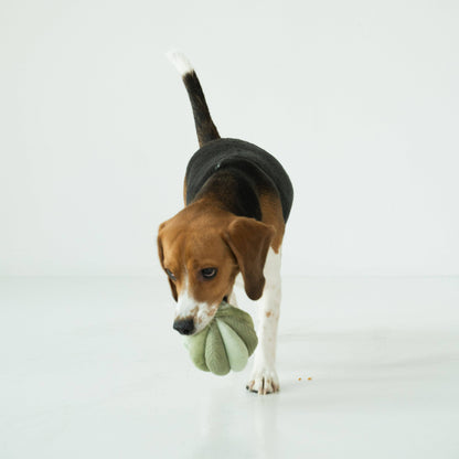 Mini TOTO (10cm) - Silent Snuffle/Enrichment Ball