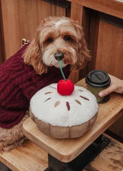 Cherry Bakewell Tart - Snuffle/Enrichment Toy