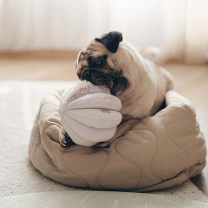 TOTO (12.7cm) - Snuffle/Enrichment Ball