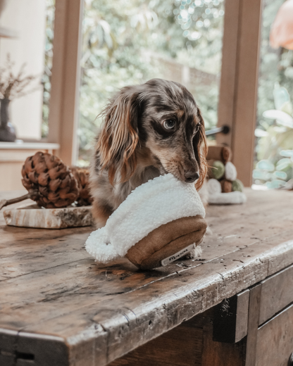Matcha - Snuffle/Enrichment Toy