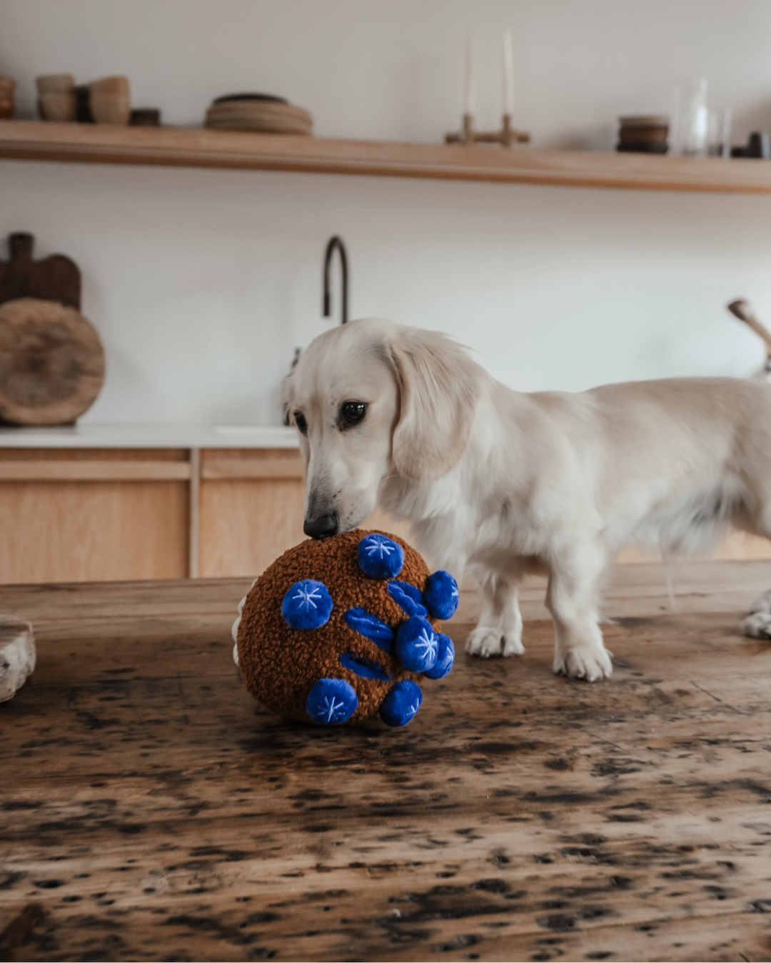Blueberry Muffin - Snuffle/Enrichment Toy