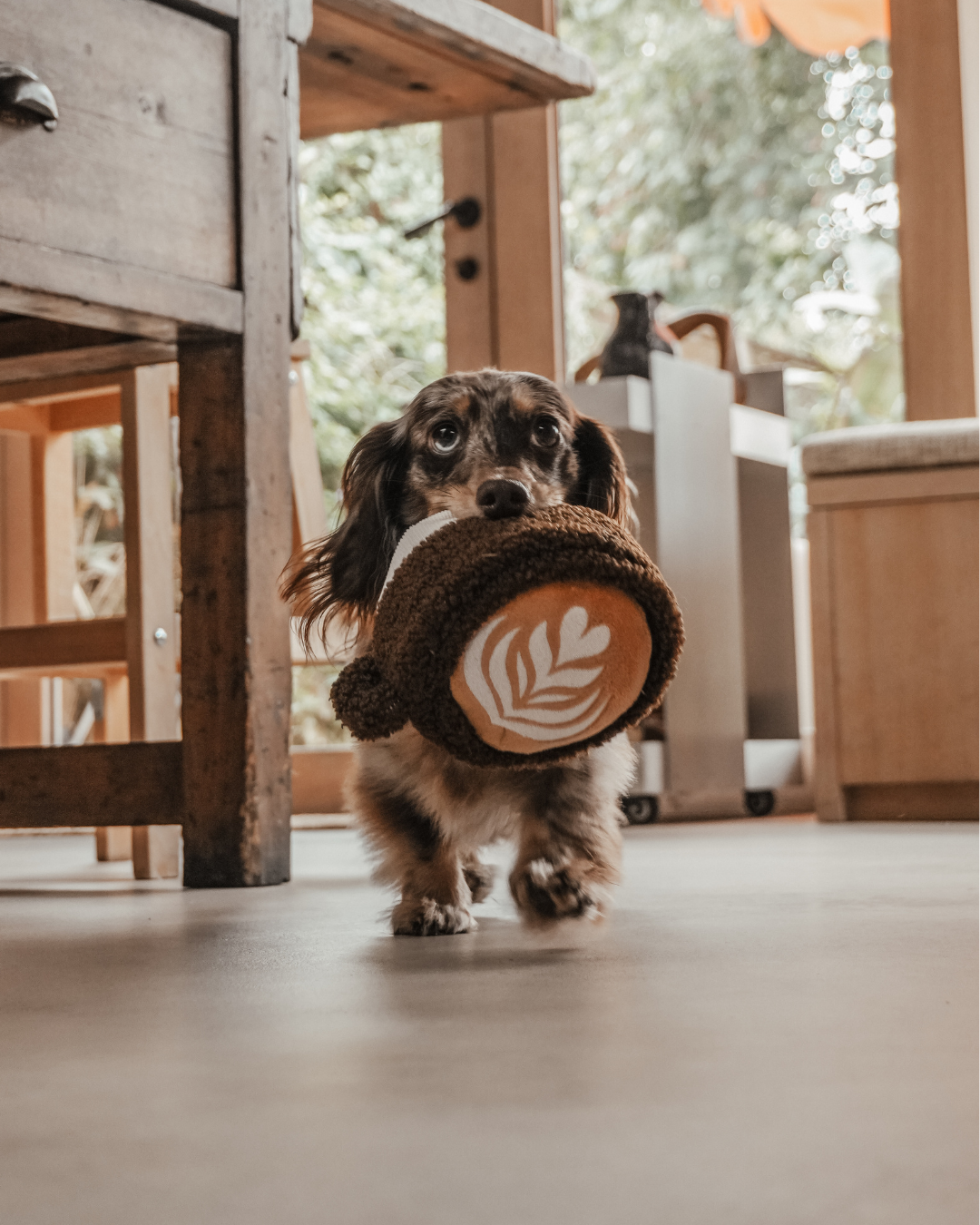 Latte - Snuffle/Enrichment Toy