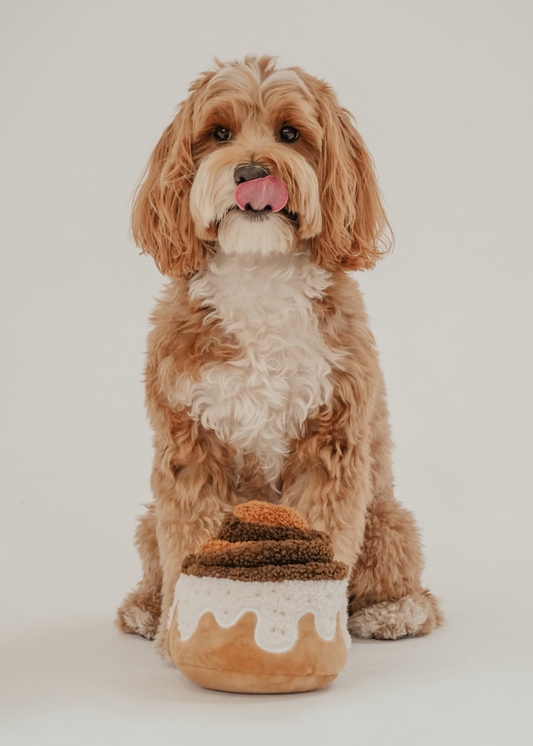 Cinnamon Roll - Snuffle/Enrichment Toy