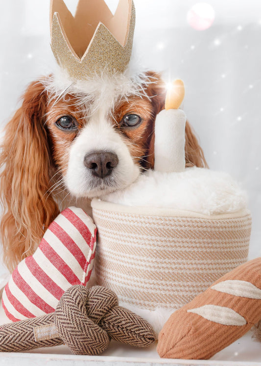Birthday Cake - Snuffle/Enrichment 5-piece Toy