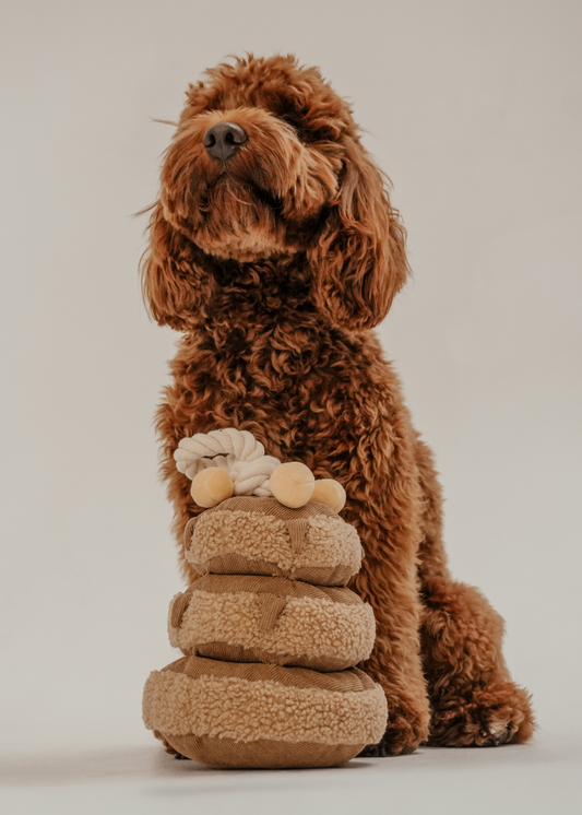 Maple Pancake Stack Toy