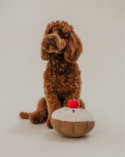 Cherry Bakewell Tart - Snuffle/Enrichment Toy
