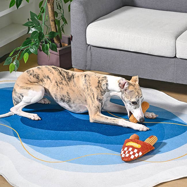 Churros - 4-Piece Enrichment/Interactive Toy