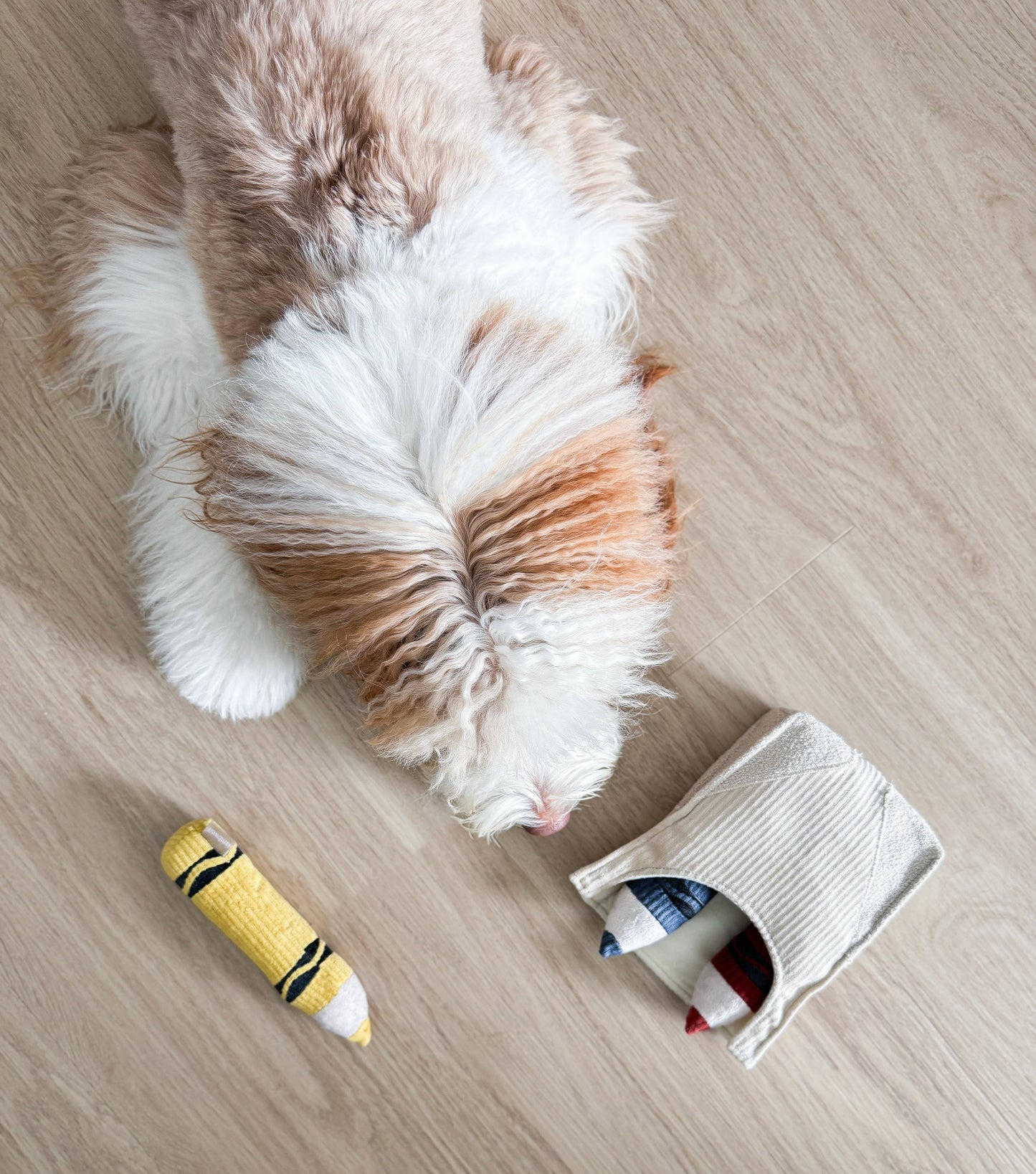 Crayons - Snuffle/Enrichment Toy