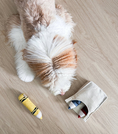 Crayons - Snuffle/Enrichment Toy