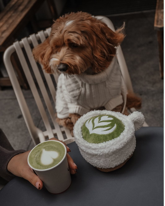 Matcha - Snuffle/Enrichment Toy