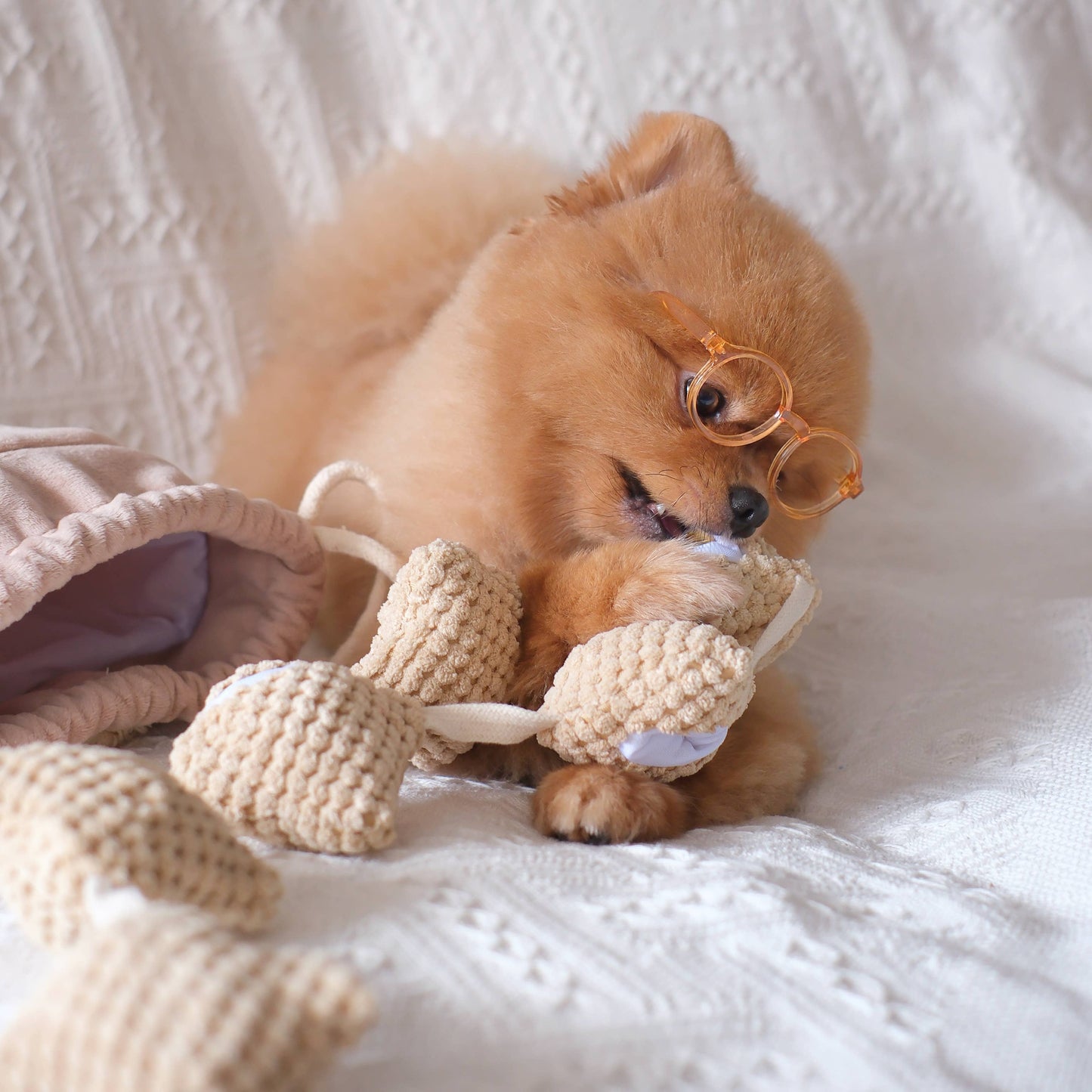 Popcorn - Snuffle/Enrichment Toy