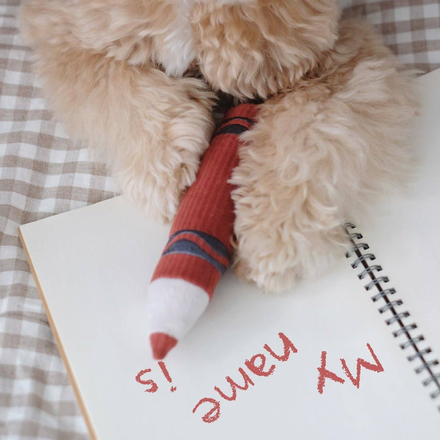 Crayons - Snuffle/Enrichment Toy