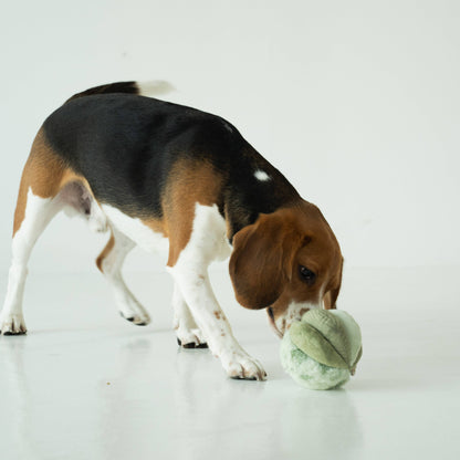 Mini TOTO (10cm) - Silent Snuffle/Enrichment Ball