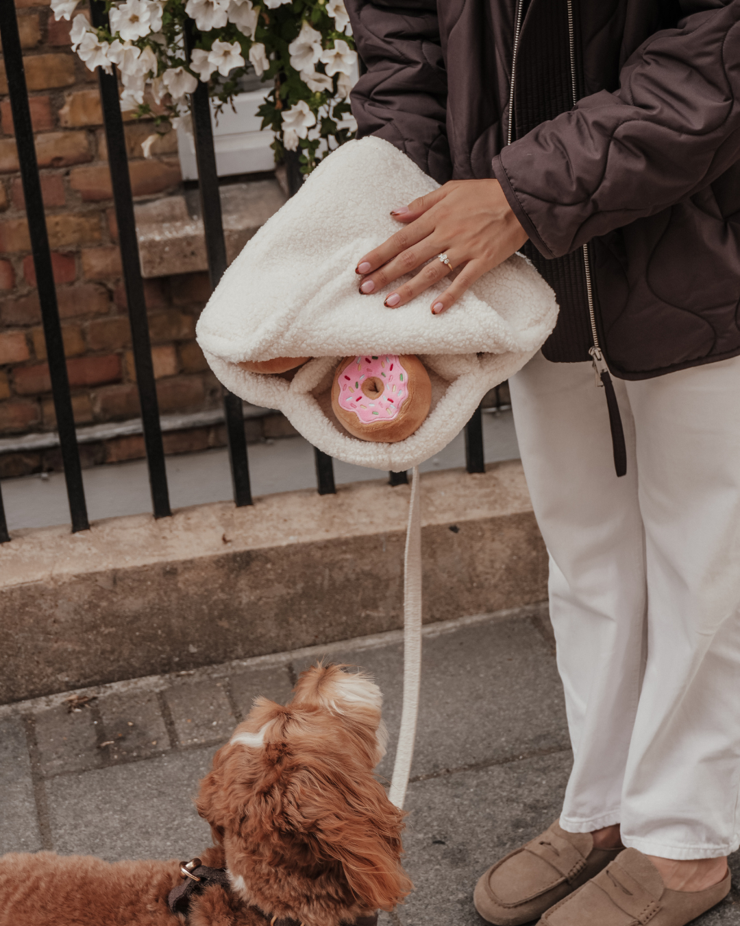 Donut Selection Box  - Snuffle/Enrichment 5-Piece Toy