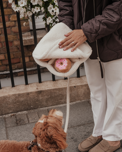 Donut Selection Box  - Snuffle/Enrichment 5-Piece Toy