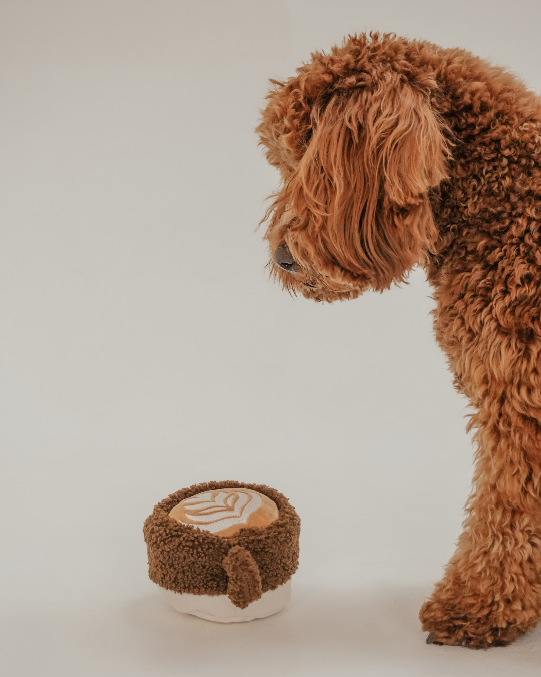Latte - Snuffle/Enrichment Toy
