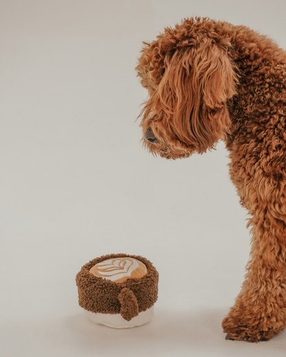 Latte - Snuffle/Enrichment Toy