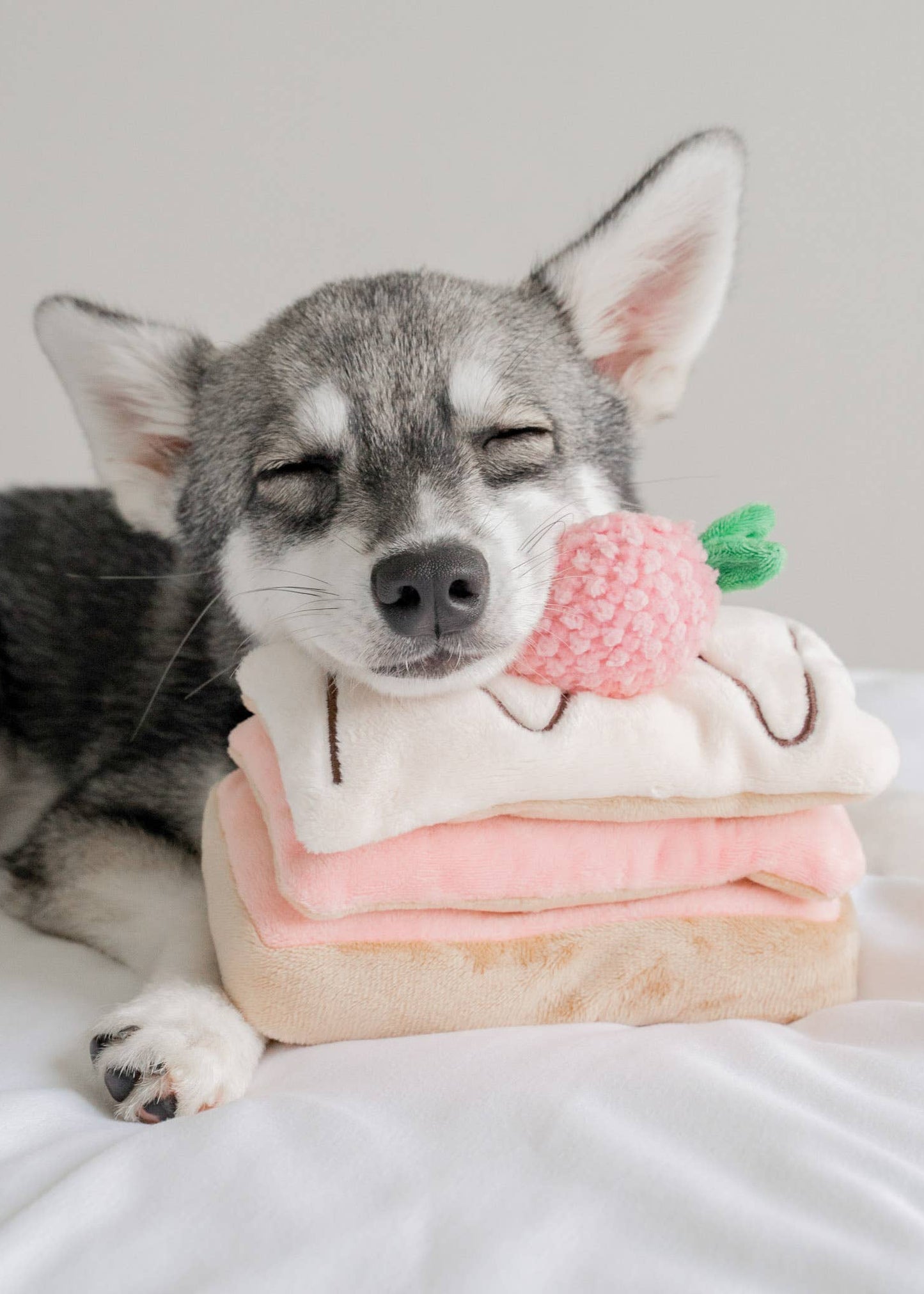 Strawberry Mille-Feuille - Snuffle/Enrichment Toy