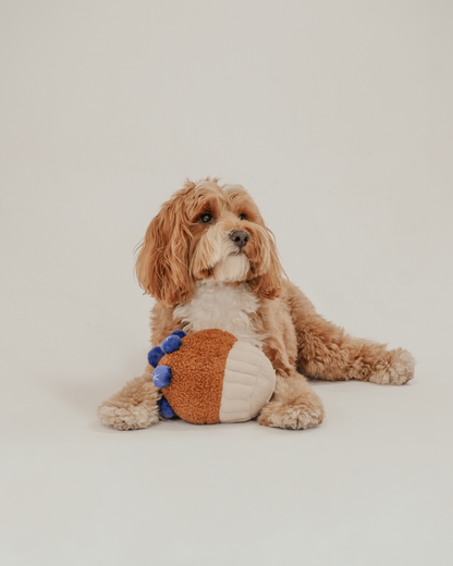 Blueberry Muffin - Snuffle/Enrichment Toy