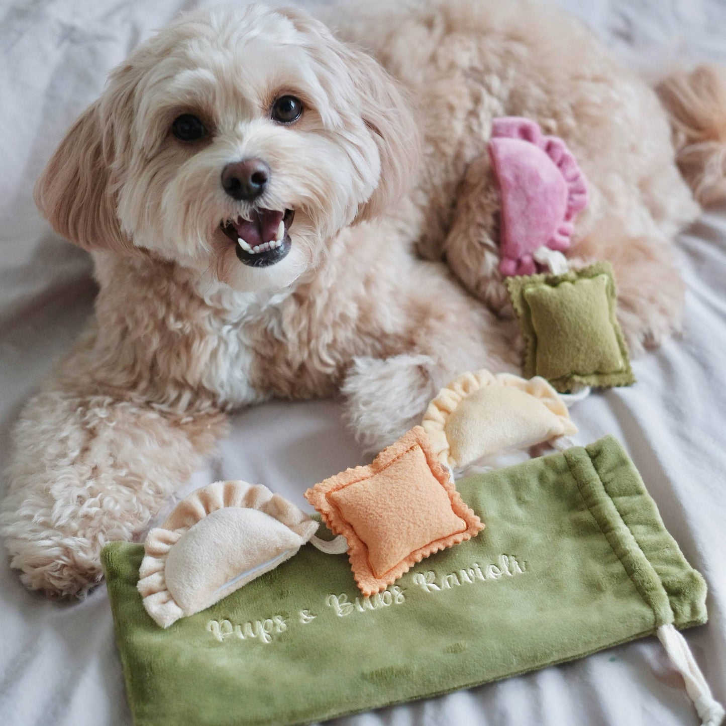 Ravioli - Snuffle/Enrichment Toy