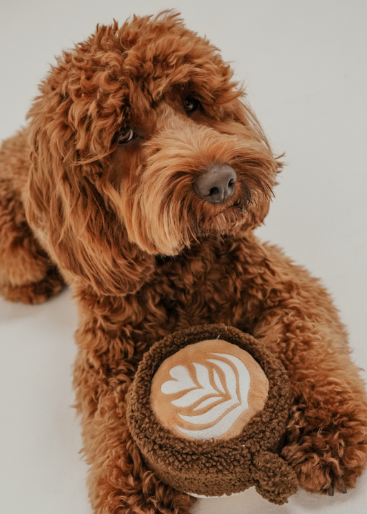 Latte - Snuffle/Enrichment Toy