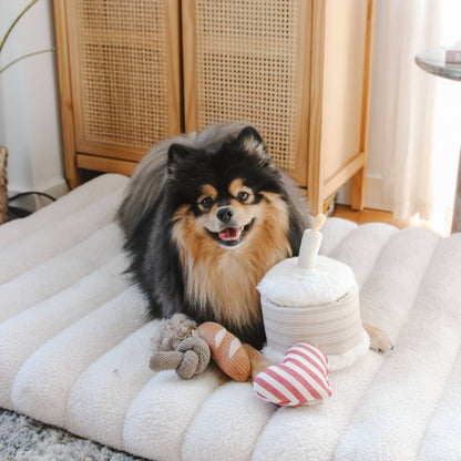 Birthday Cake - Snuffle/Enrichment 5-piece Toy