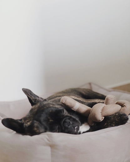 NOU Noodle - Silent Cluster - Versatile Snuffle Toy for Dogs