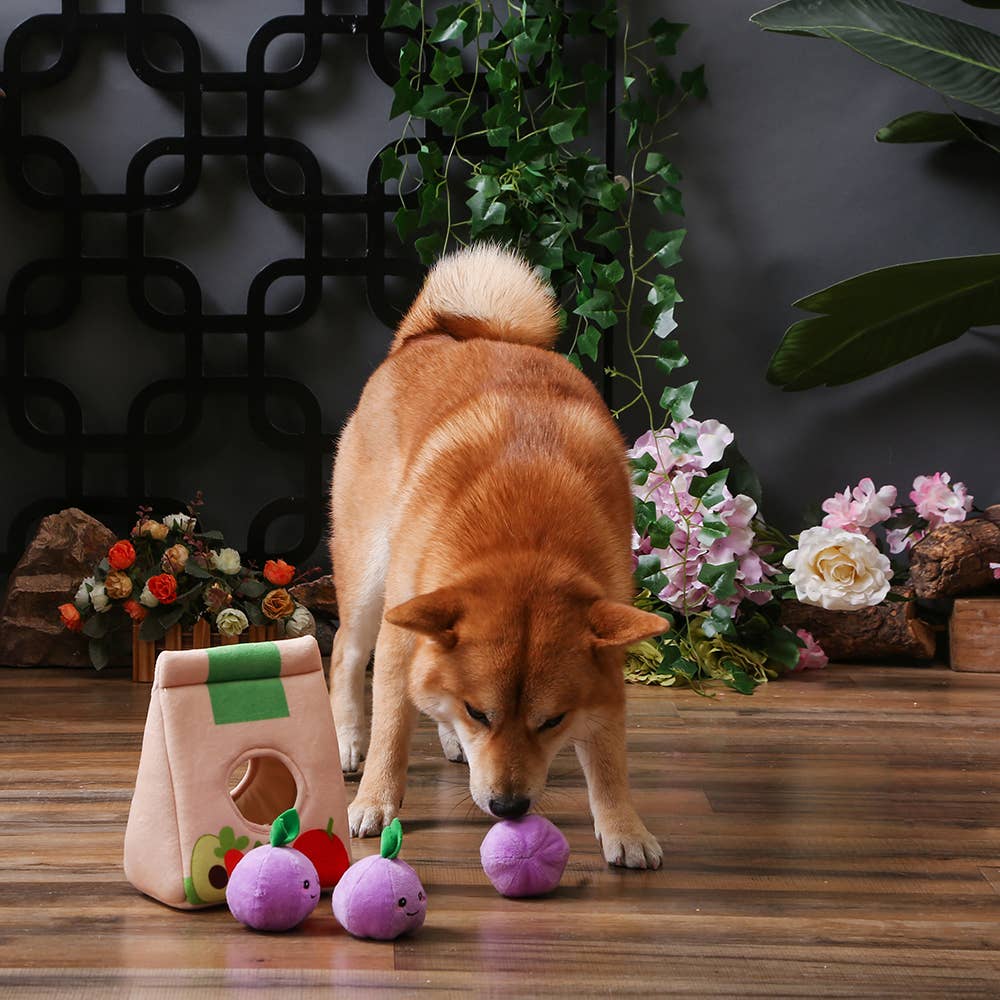 Purple Onions - 4-Piece Enrichment/Snuffle Toy