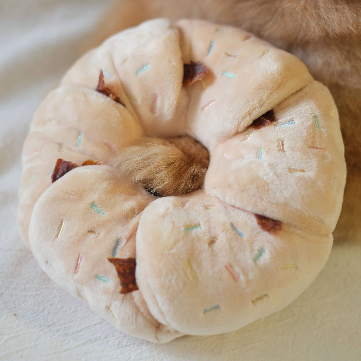 Colorful Sprinkle Donut - Snuffle/Enrichment Toy