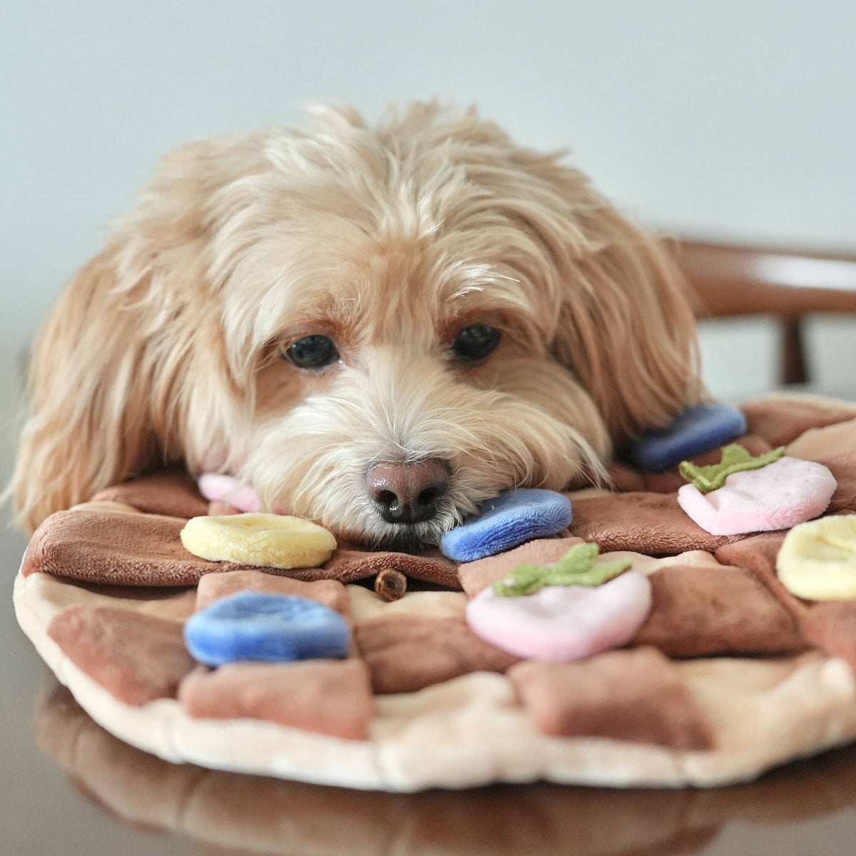 Fruits&Chocolate Crêpe - Snuffle Mat