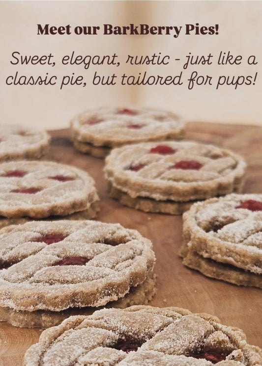 Pie-style dog cookies named Bark Berry Pies with icing and coconut dusting