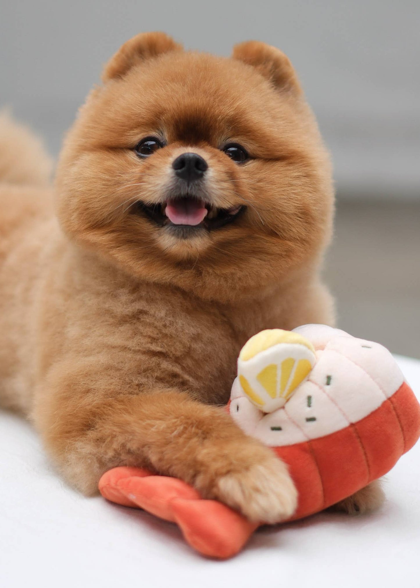 Grilled Lobster - Snuffle/Enrichment Toy