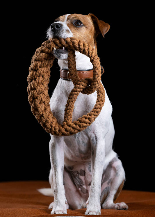 Pretzel - Award-Winning 100% Cotton Rope Dental Toy