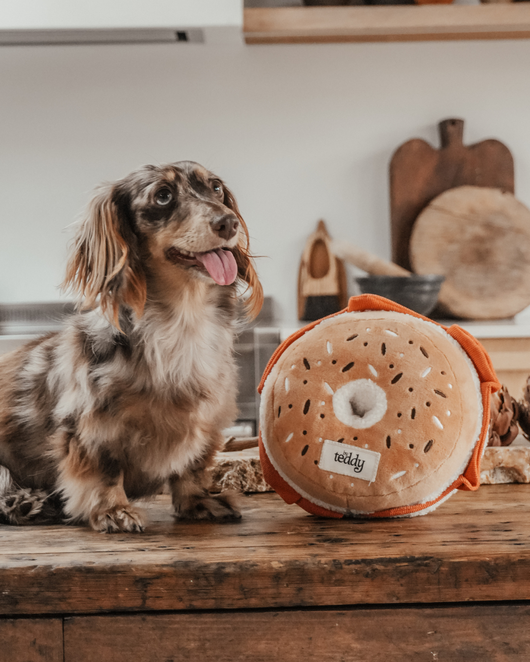 Large Salmon & Cream Cheese Bagel - Snuffle/Enrichment Toy