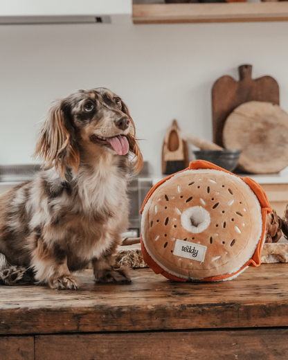 Large Salmon & Cream Cheese Bagel - Snuffle/Enrichment Toy
