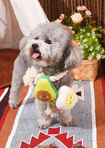 Pawfect Breakfast - Rope Toy