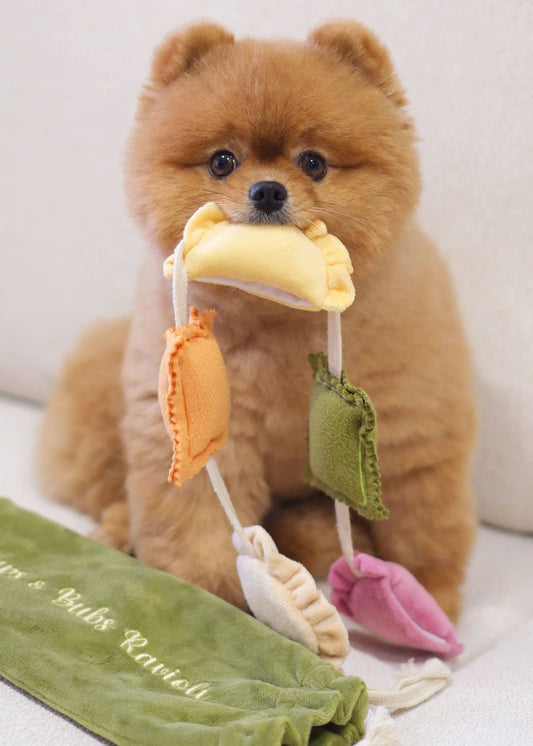 Ravioli - Snuffle/Enrichment Toy