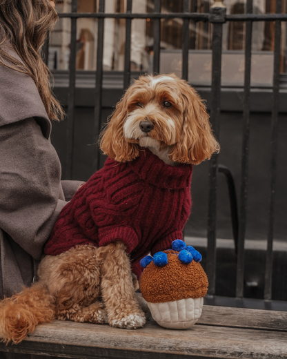 Blueberry Muffin - Snuffle/Enrichment Toy