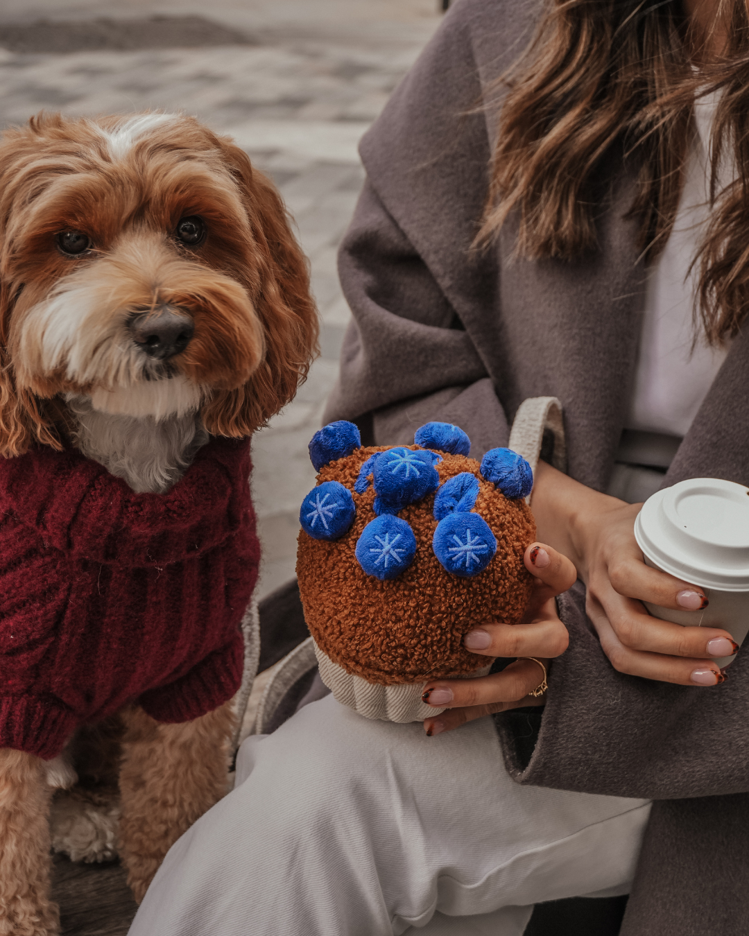 Blueberry Muffin - Snuffle/Enrichment Toy