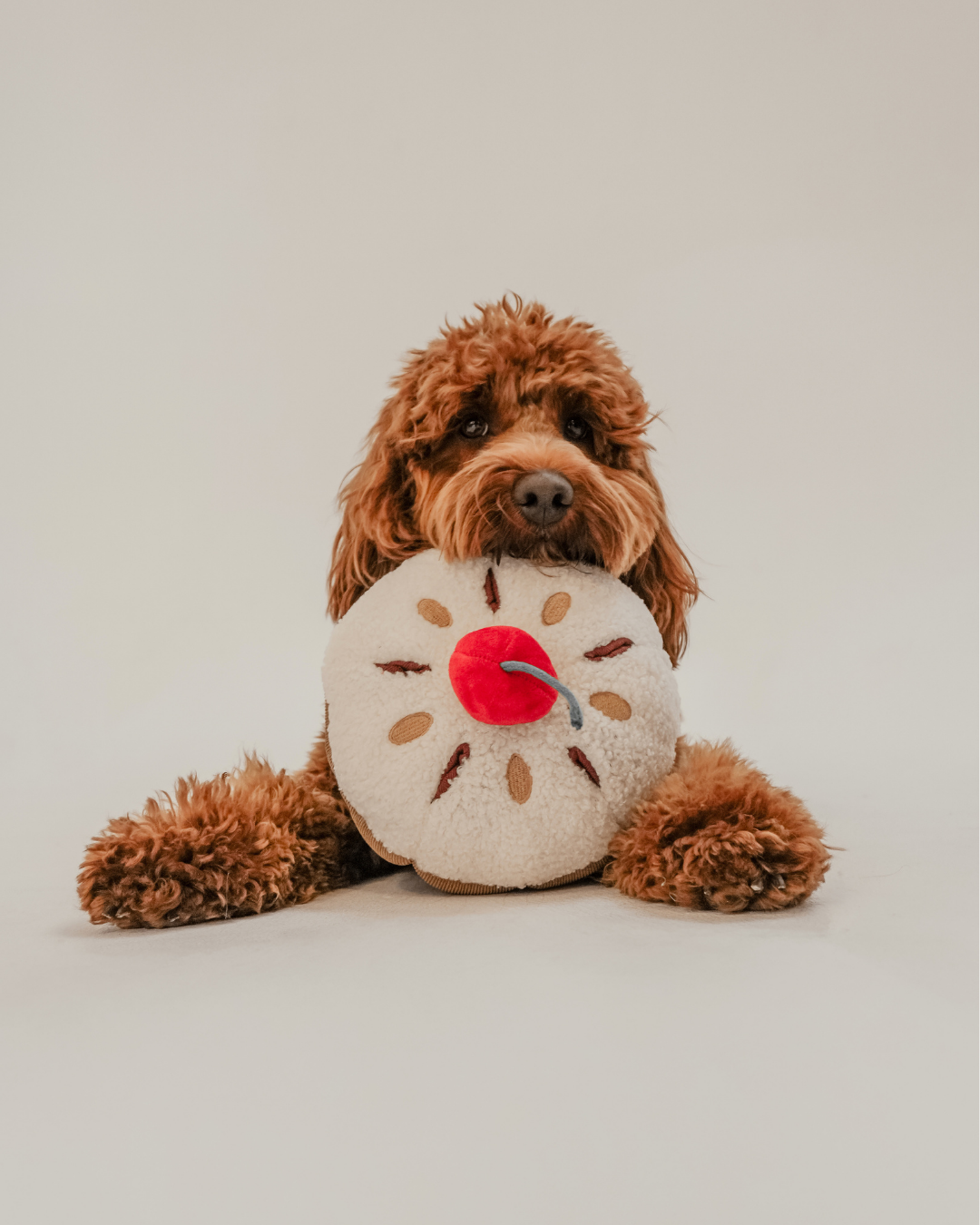 Cherry Bakewell Tart - Snuffle/Enrichment Toy