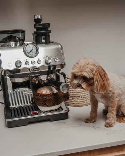 Latte - Snuffle/Enrichment Toy
