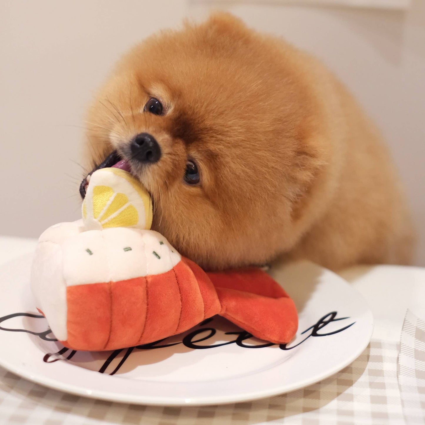 Grilled Lobster - Snuffle/Enrichment Toy