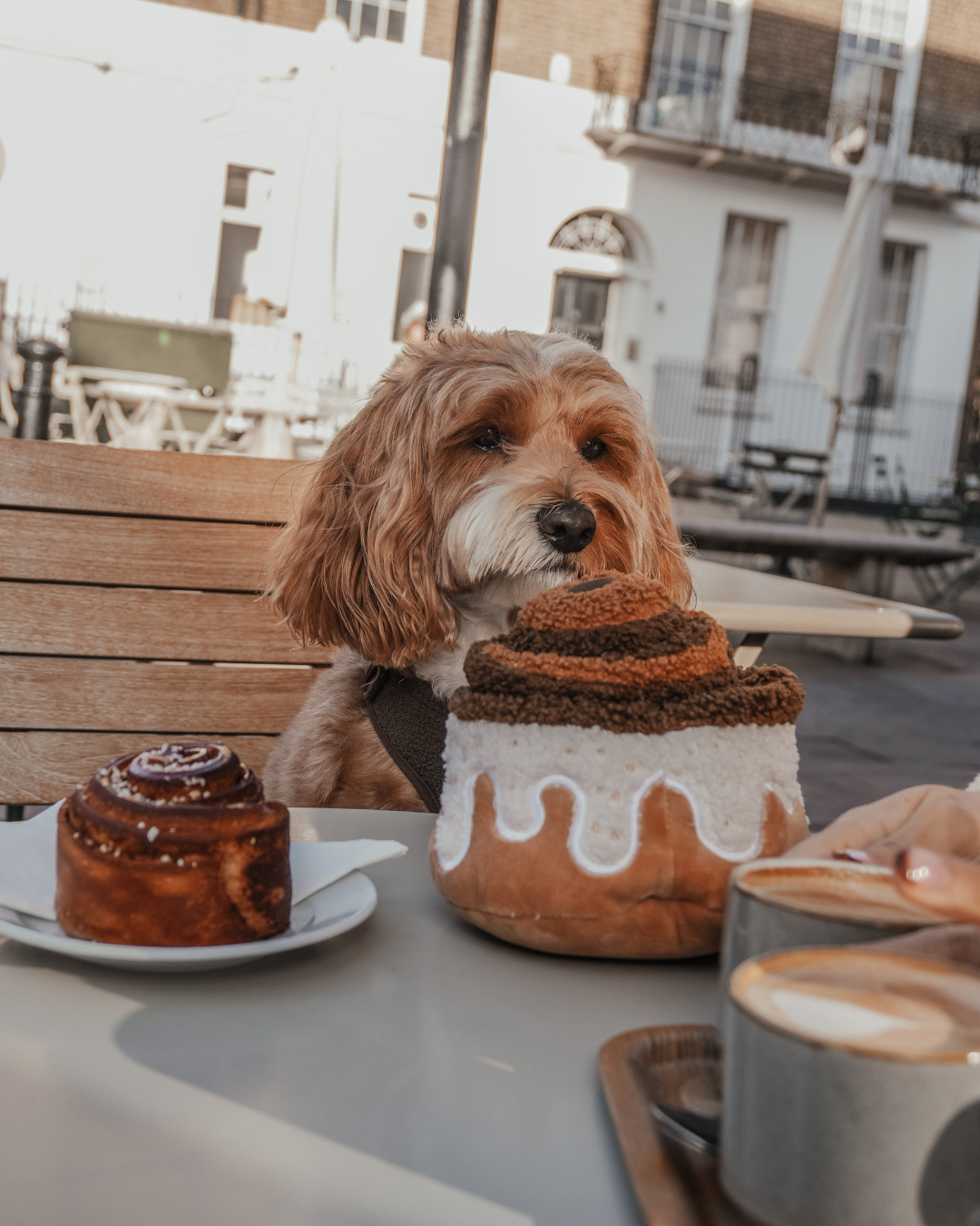 Cinnamon Roll - Snuffle/Enrichment Toy