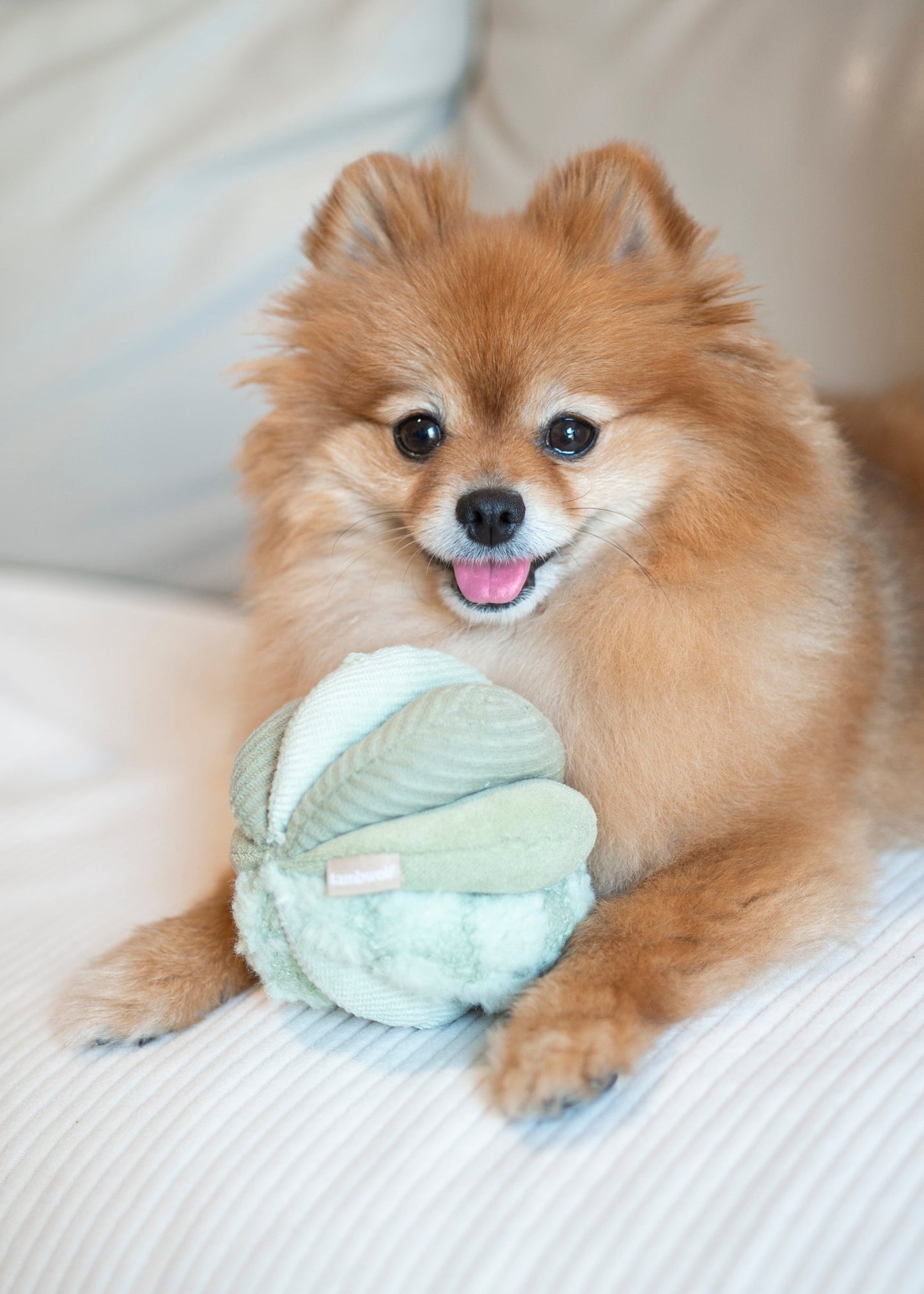 Mini TOTO (10cm) - Silent Snuffle/Enrichment Ball