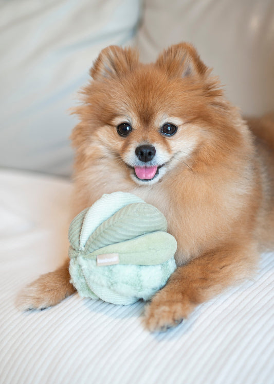 Mini TOTO (10cm) - Silent Snuffle/Enrichment Ball