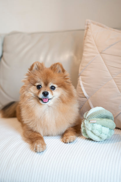 Mini TOTO (10cm) - Silent Snuffle/Enrichment Ball