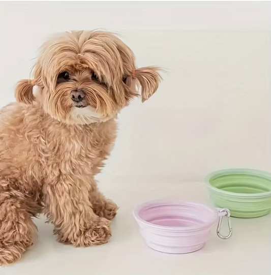 Dog Travel Bowl - Spring Colours