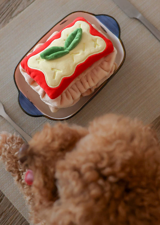 Lasagna - Enrichment/Snuffle Toy